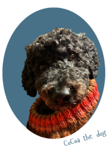 Cocoa The Dog
